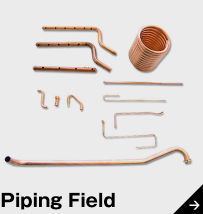 Piping Field